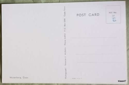 Post Card - Muizenberg, Cape - Photo: Terence J McNally