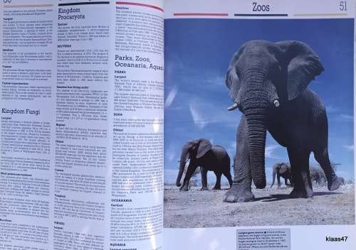 The Guinness Book of Records 1988 - Hardcover