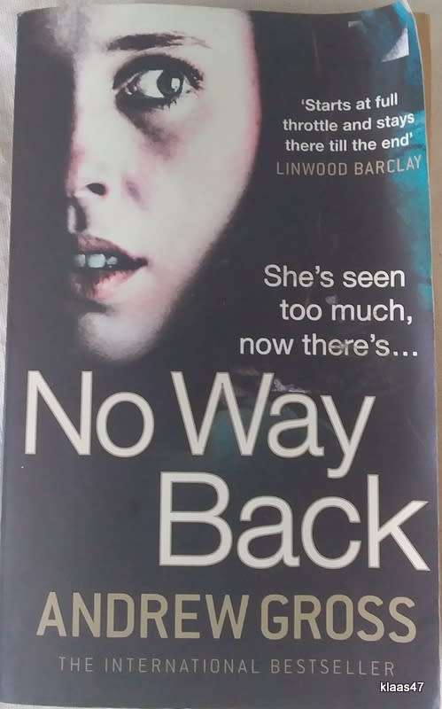 No Way Back - Andrew Gross - Paperback