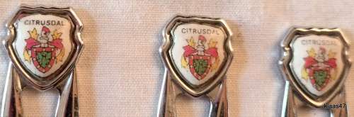 Stainless Steel - 6 Teaspoons - Citrusdal Crest