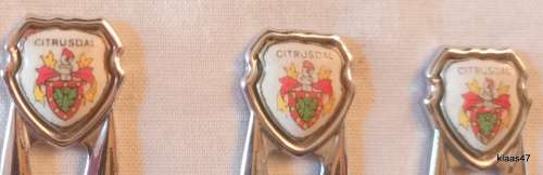 Stainless Steel - 6 Teaspoons - Citrusdal Crest