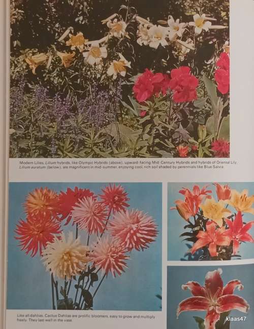 The Complete Gardening Book for Southern Africa - Sima Eliovson - Hardcover Revised 10th Edition