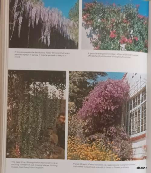 The Complete Gardening Book for Southern Africa - Sima Eliovson - Hardcover Revised 10th Edition