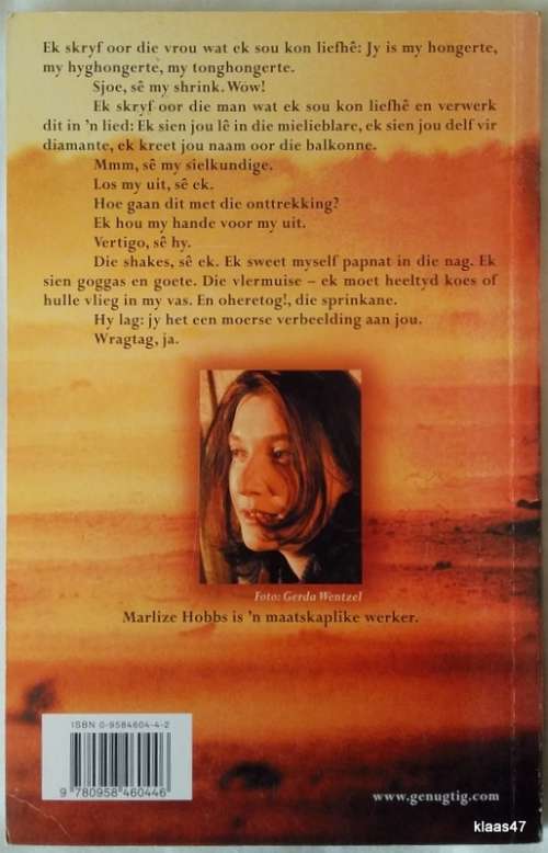 Flarde: `n Novelle) - Marlize Hobbs - Sagteband
