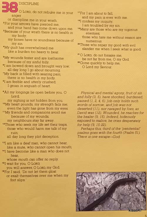 Meditations on The Psalms (Scripture Union) Psalms 38-75 (taken from the New International Version)