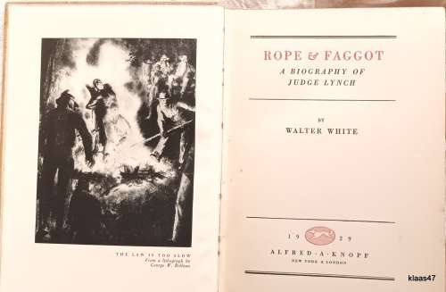 Rope & Faggot - Walter White - Hardcover 1929 (A Biography of Judge Lynch)