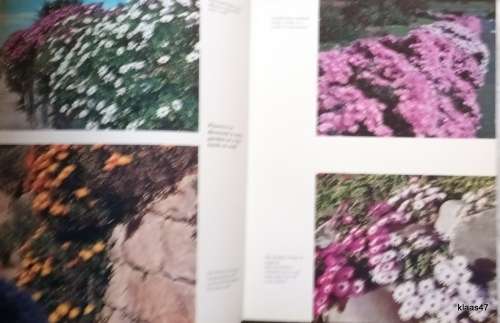 Wild Flowers of South Africa for Garden - Una van der Spuy - Hardcover