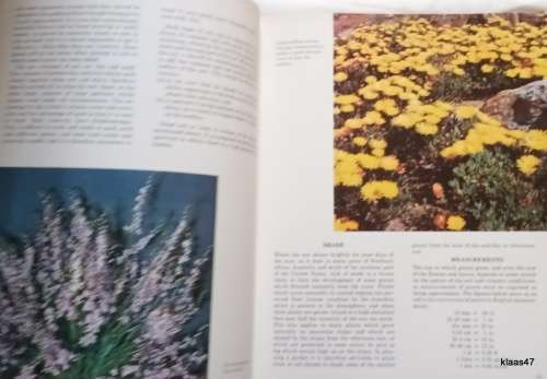 Wild Flowers of South Africa for Garden - Una van der Spuy - Hardcover