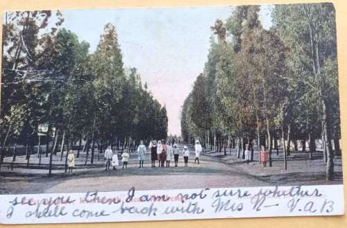Post Card - 1st Ave, Kenilworth. Kimberley - Date Stamp: Woodstock 1910 (Publ: Handel House)