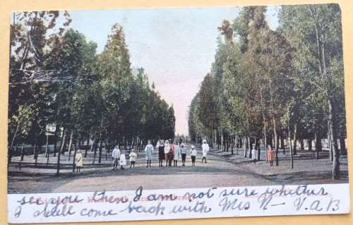 Post Card - 1st Ave, Kenilworth. Kimberley - Date Stamp: Woodstock 1910 (Publ: Handel House)