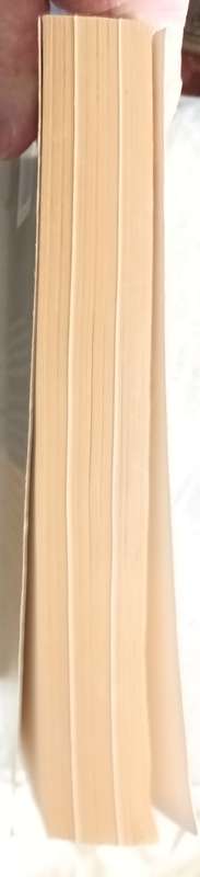Rainbow Warrior - Francois Pienaar - Autobiography (Paperback)