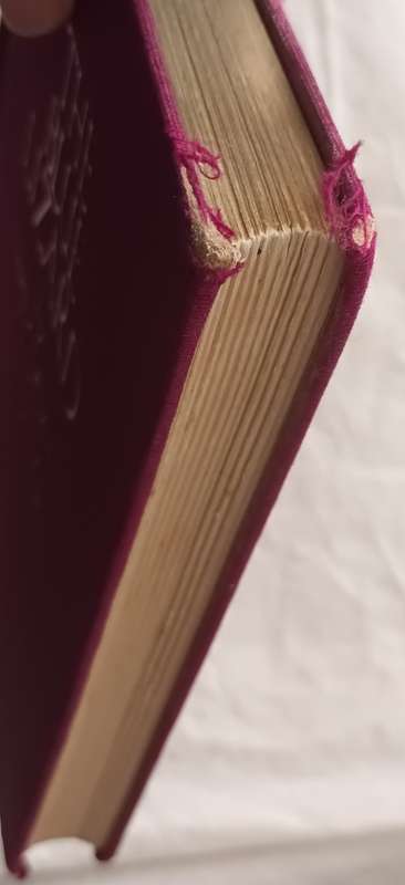 The Blue Lizard - Napier Devitt - Hardcover 1928