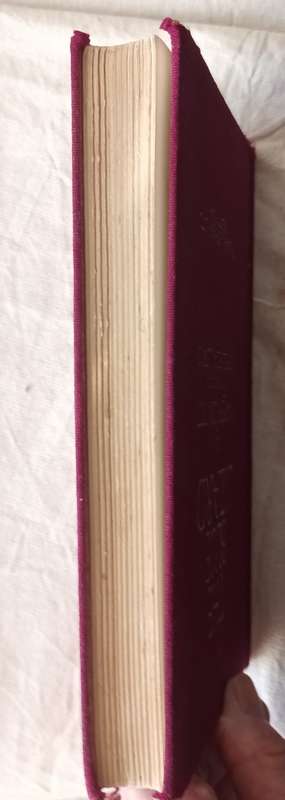 The Blue Lizard - Napier Devitt - Hardcover 1928