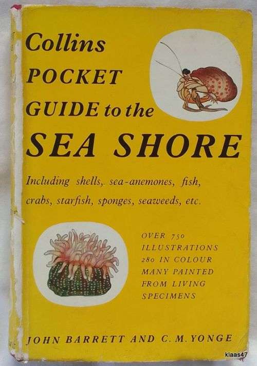 Collins Pocket Guide to the Sea Shore - John Barrett & C M  Yonge - Hardcover 1964