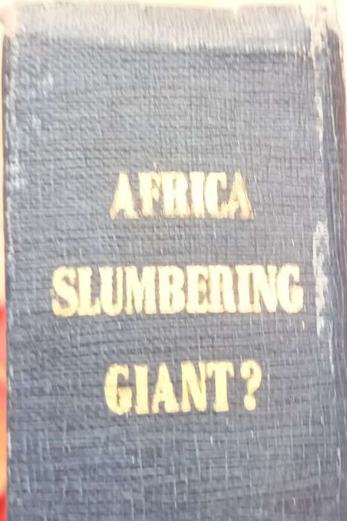 Africa Slumbering Giant? - Michael Mc Neile - Hardcover