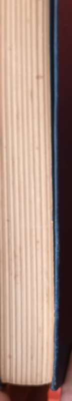 Africa Slumbering Giant? - Michael Mc Neile - Hardcover