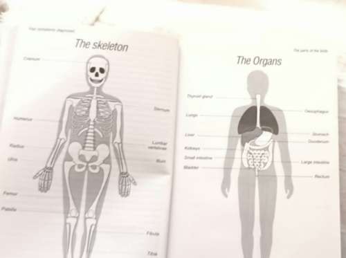 Your Symptoms Diagnosed - Dr B Cooper and Dr L Gerlis - Paperback