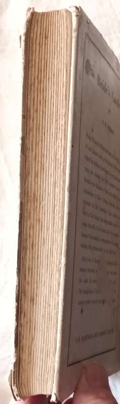 Bride`s Castle - P W Wilson - Hardcover