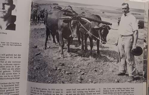 Springbok-Sage - Chris Greyvenstein - Hardeband 1977 (Die Verhaal in Beeld van 1891)