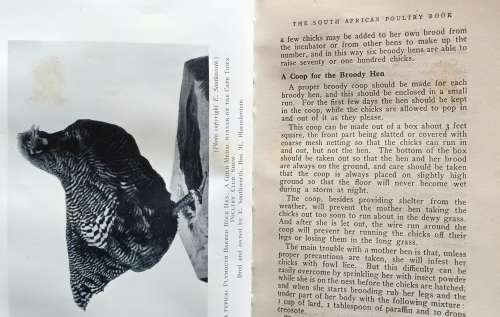The South African Poultry Book - Charles W Smith - Hardcover 1944