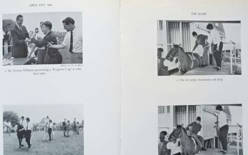 The Reins of Life - John Anthony Davies - Hardcover 1967
