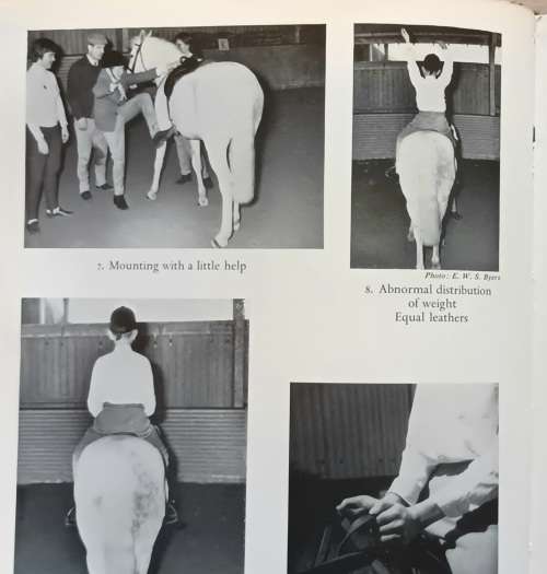 The Reins of Life - John Anthony Davies - Hardcover 1967