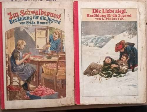 Erzählung für die Jugend - Im Schwalbenneff von Frida von Kronoff en Die Liebe siegt von L Haarbeck