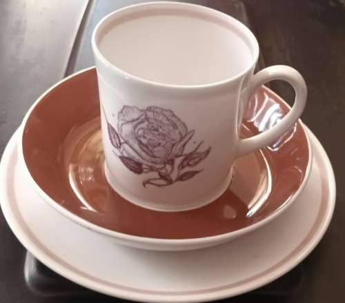 Susie Cooper Trio `Sepia Rose` Bone China