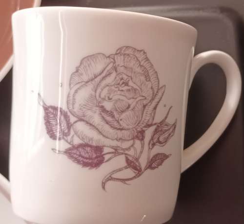 Susie Cooper Trio `Sepia Rose` Bone China