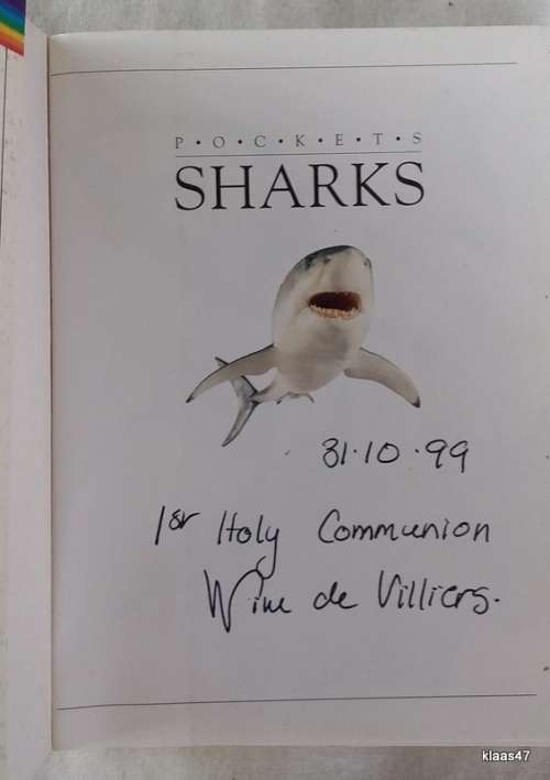 POCKETS Full of Knowledge: Sharks - Joyce Pope - Small Paperback 1997