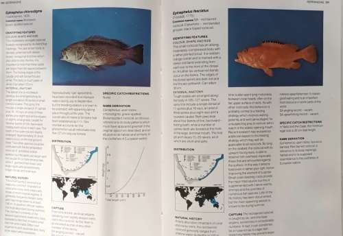 A Guide to the Common Sea Fishes of Southern Africa - Rudy van der Elst - Hardcover