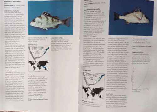 A Guide to the Common Sea Fishes of Southern Africa - Rudy van der Elst - Hardcover