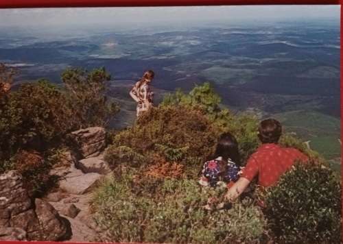 SAR Publicity & Travel - 1 Unused Post Card -  God`s Window, near Graskop, E Tvl (Photo: Jan Hoek)
