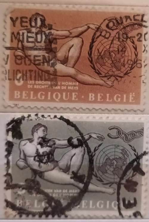 Belgium - 1962 - Human Rights - Set of 2 Used stamps