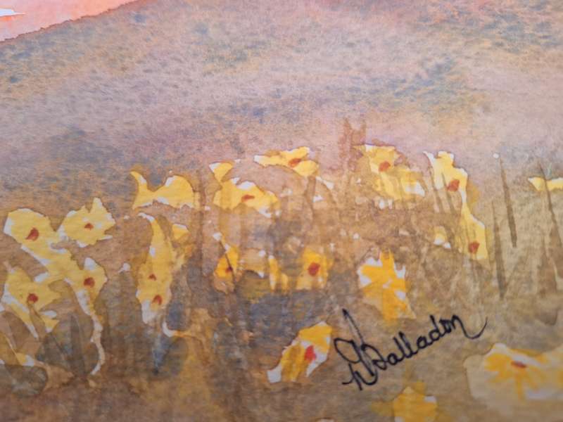 Unframed Watercolour of Clan William Dam by Bobby Balladon
