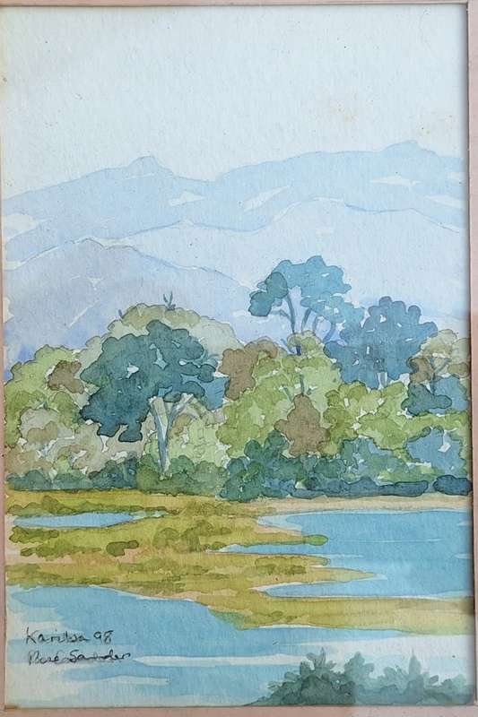 Framed Watercolour Kariba by Rose Saunders