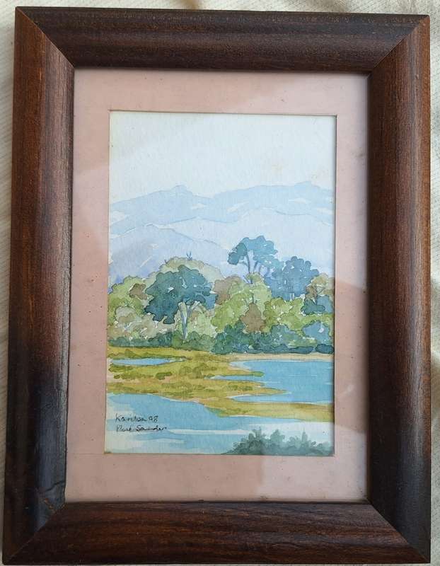 Framed Watercolour Kariba by Rose Saunders