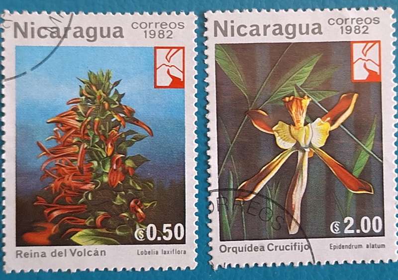 Nicaragua 1982 Flowers 2 Used stamps