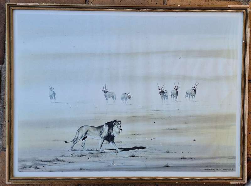 Framed Print of Lion by Doug Gray 1989