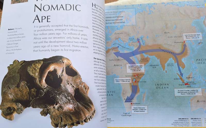Origins: An Atlas of Human Migration Ed: Russell King Hardcover