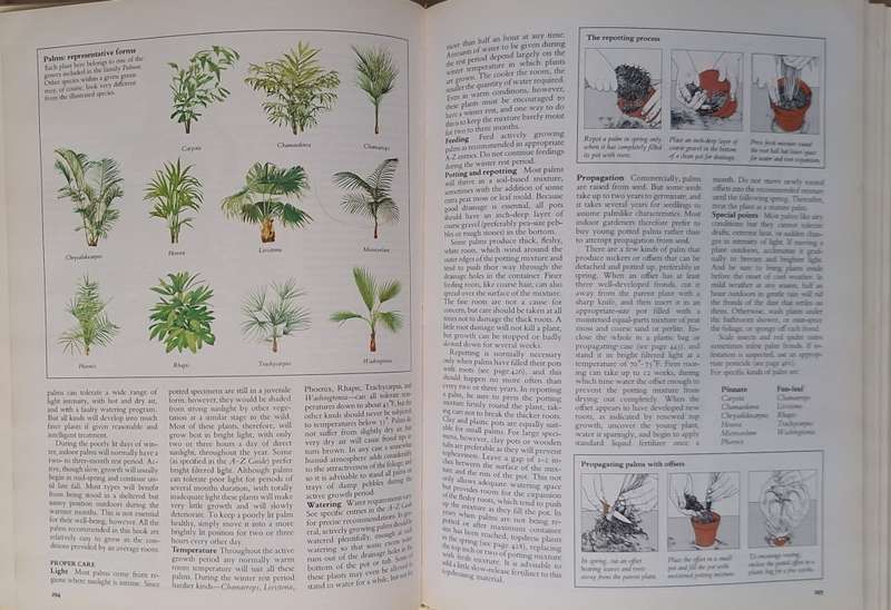 Reader`s Digest Success with House Plants