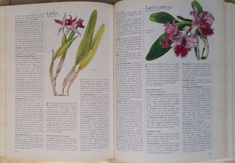 Reader`s Digest Success with House Plants