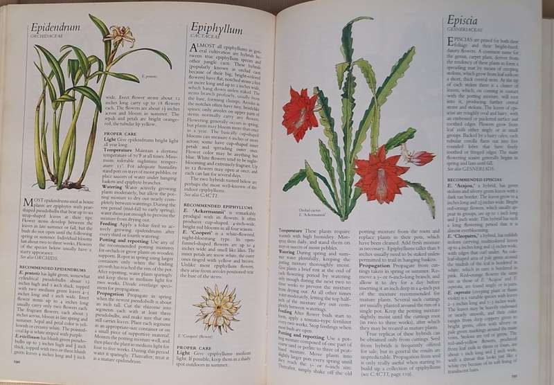 Reader`s Digest Success with House Plants