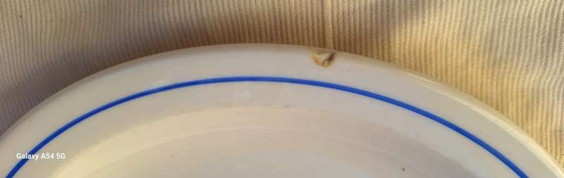 SA Air Force Dinner Plate by Continental China