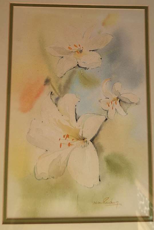 Framed Watercolour of Flowers by Derric van Rensburg