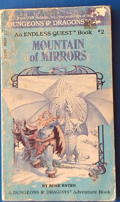 Dungeons & Dragons: Mountain of Mirrors by Rose Estes Paperback