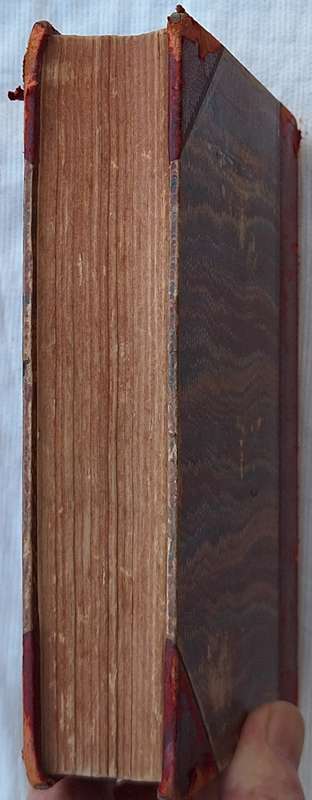 Rosemary: Life and Death by J Vincent Huntington Hardcover 1885