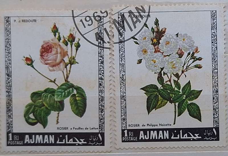 Ajman 1969 Roses 2 Used stamps