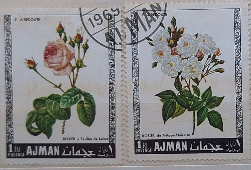 Ajman 1969 Roses 2 Used stamps