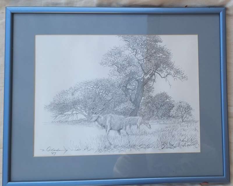 Framed Print Pencil Sketch Landscape with Buck